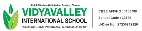 VIDYAVALLEY INTERNATIONAL SCHOOL CHAKAN logo