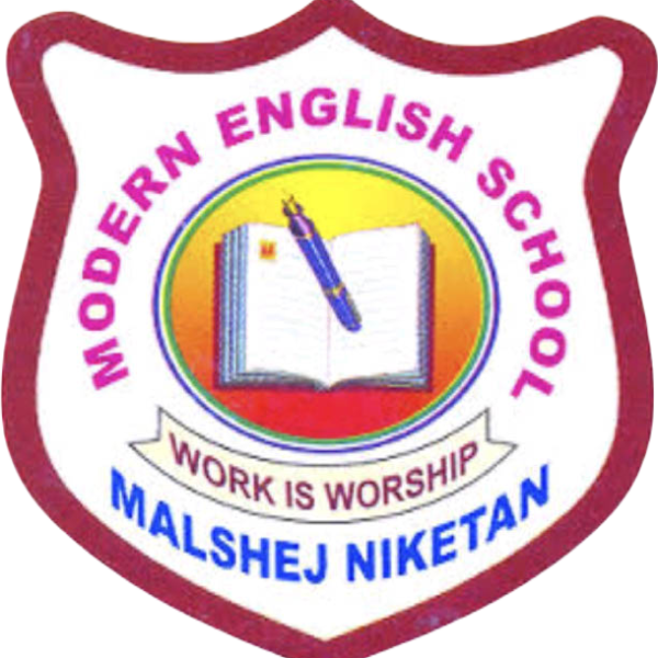 MODERN ENGLISH SCHOOL logo