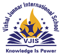 VJ INTERNATIONAL SCHOOL logo