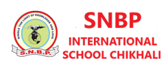 S.N.B.P' INTL SCHOOL, CHIKHLI logo